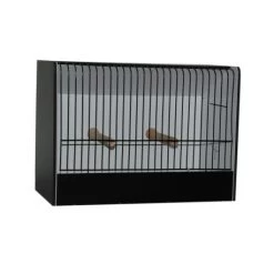 Cage D'exposition Caille Et Euphèmes En PVC