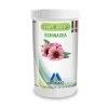 Echinacea 100g - (Antibiotique Naturel - Maladies Respiratoires) -Fournitures Pour Oiseaux echinacea 100g antibiotique naturel maladies respiratoires
