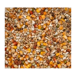 Fournitures Pour Oiseaux -Fournitures Pour Oiseaux premium verkerk sport 20kg beyers 1 1